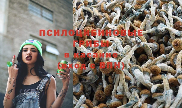 хмурый Алексин