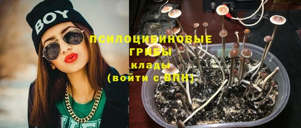 бошки Абинск